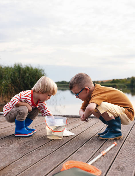Young boy holding up a nice perch he just caught while fishing from a dock on an autumn evening in Minnesota, USA.