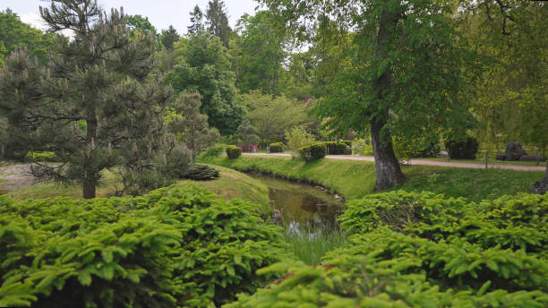 istock Picturesque Japanese garden with a pond. 2183991864