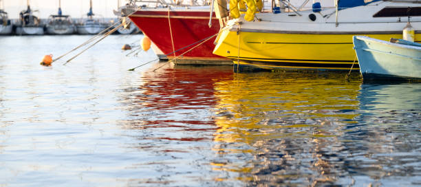 colored boats in the marine