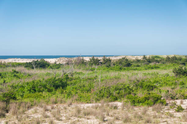istock fire island national seashore long island new york 2183996405