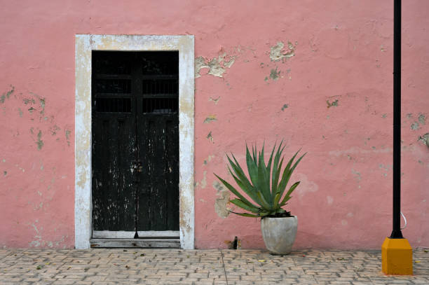 istock Colorful colonial style building door 2183996511