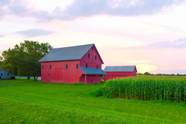 istock Red Barn at sunrise with corn field-Hamilton County, Indiana 2183999205