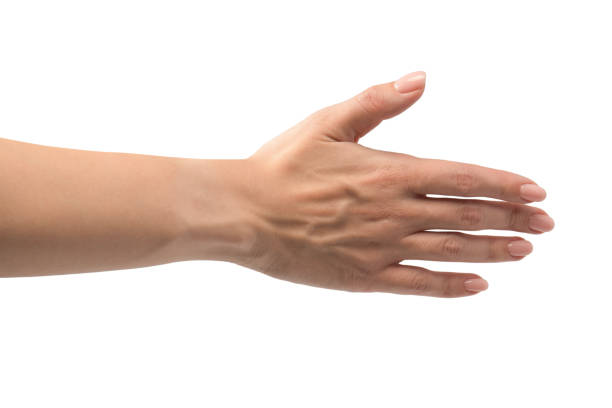 istock Woman hands with nude manicure isolated on a white background. 2184001994