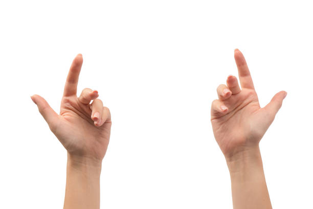 Woman hands with nude manicure isolated on a white background.