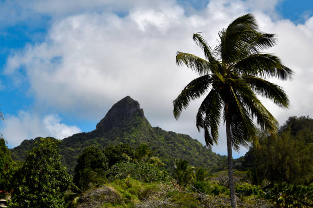 Rarotonga, Cook Islands: the mountains of Rarotonga were formed by volcanic activity millions of years ago, and the subsequent erosion has created deep valleys, rugged ridges, and spectacular geological formations that radiate from the central peaks like spokes on a wheel. The mountainous interior is largely uninhabited, with most of the island's population living along the coastal areas, while the mountains themselves serve as both a crucial watershed for the island and a popular destination for hiking enthusiasts.