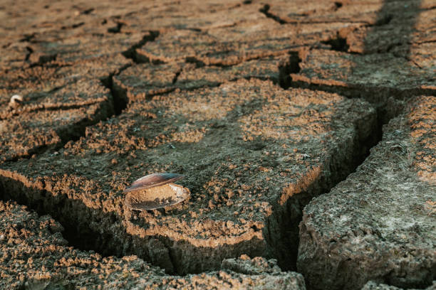 Drought and Water crisis