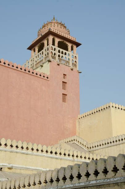 Elegant woman  near Hawa Mahal in Jaipur, India