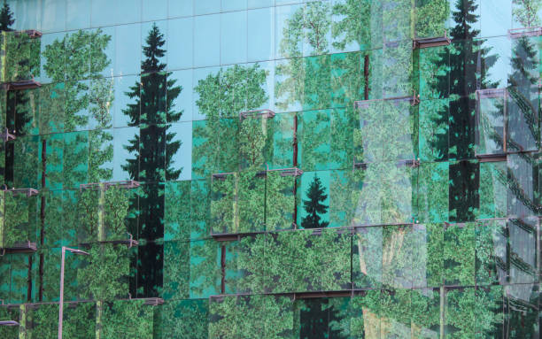 There is a beautiful composition simulating the reflection of trees that decorate the glass wall