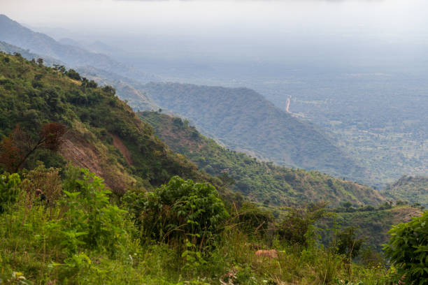 istock Near Africas rift valley 2184007183