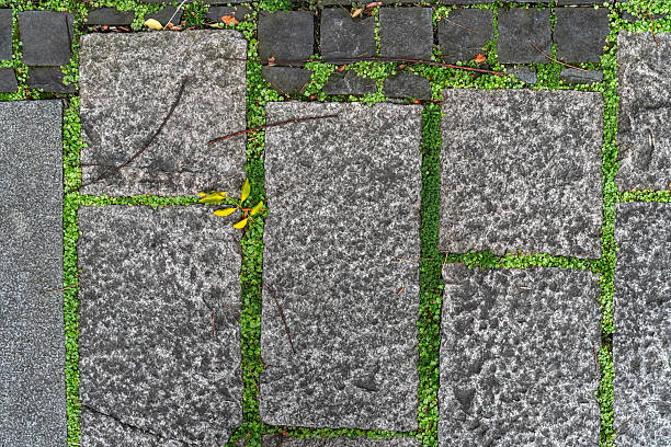Geometric concrete paving with grass growing between the gaps under natural sunlight