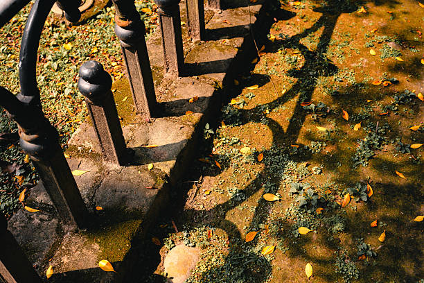 Sunlight casts intricate shadows of wrought iron railings onto a moss-covered stone path. Scattered yellow leaves add a touch of color, beautifully contrasting with the earthy tones. The scene captures a quiet moment of natural artistry, where light and form intertwine.