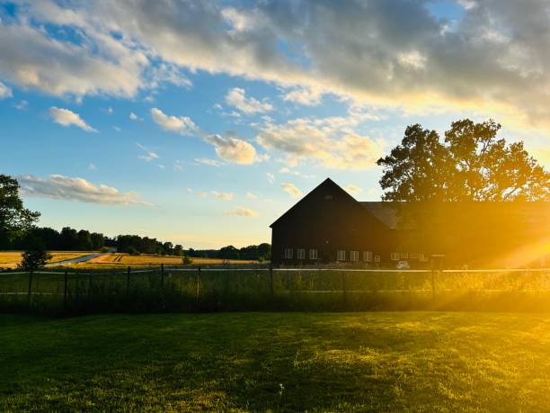 istock Swedish countryside at dusk 2184015665