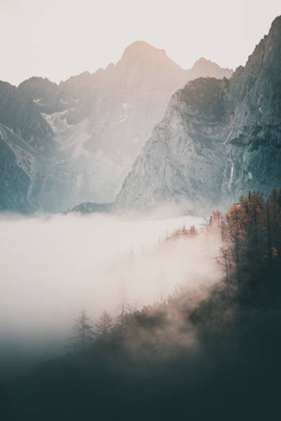 istock Sunrise over forest and mountains in mist 2184018789