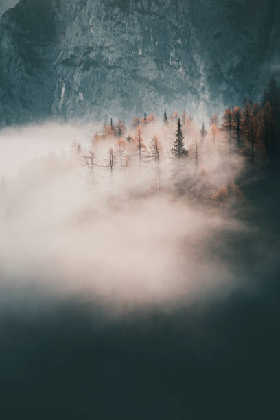 istock Sunrise over forest and mountains in mist 2184018801