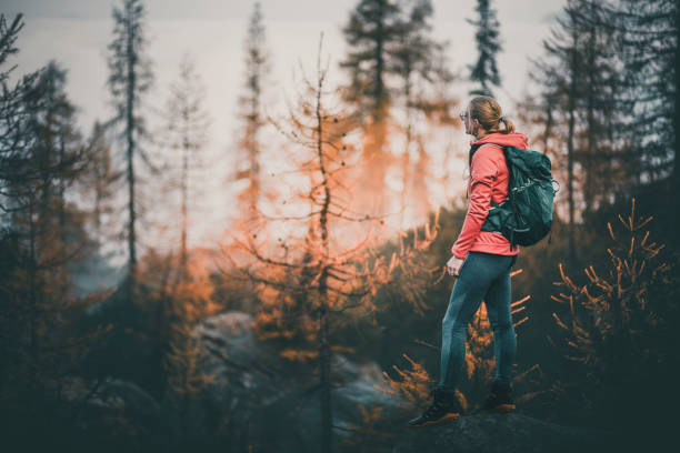 Young woman backpacker balances on rock in Larch forest in autumn, Slovenian Alps