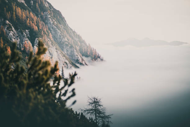 istock Sunrise over forest and mountains in mist 2184018870