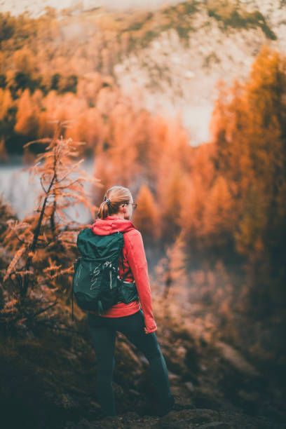 istock Young woman backpacks through larch forest in autumn 2184018908