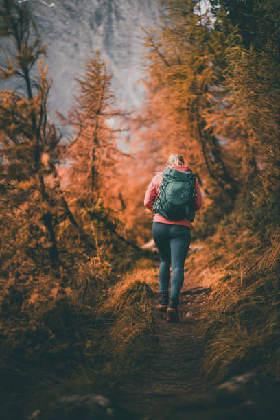 istock Young woman backpacks through larch forest in autumn 2184019011