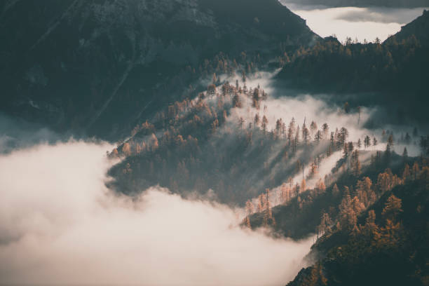 istock Sunrise over forest and mountains in mist 2184019211