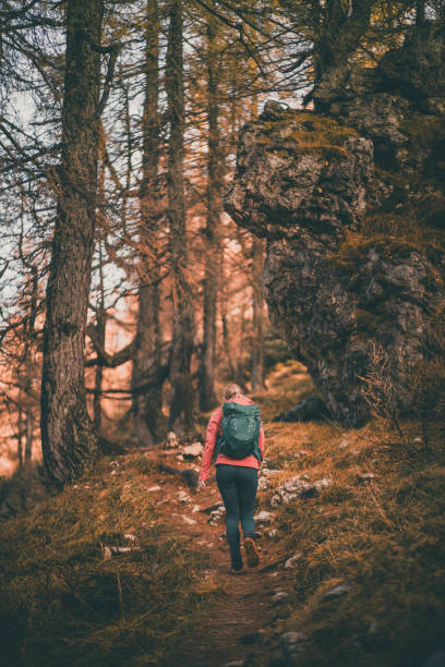 istock Young woman backpacks through larch forest in autumn 2184019434