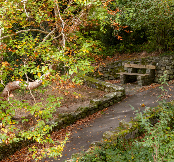 istock Bench in the park. Beautiful Autumn landscape 2184028303