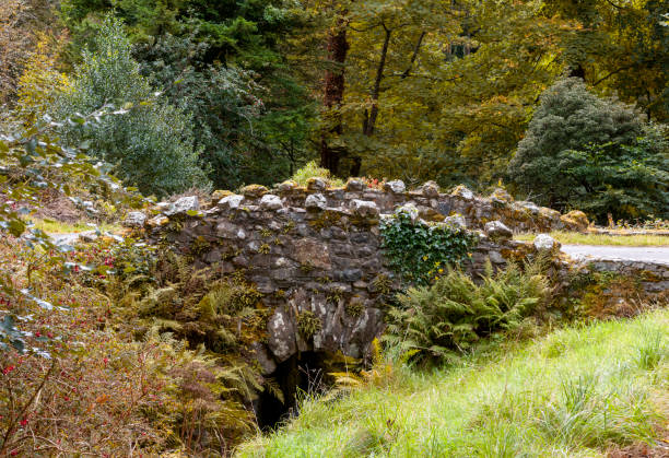 istock Stone bridge over the river in the park. Autumn landscape 2184028308