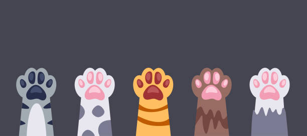 istock Cat paw pet animal cute kitten poster concept. Vector flat graphic design illustration 2184032537