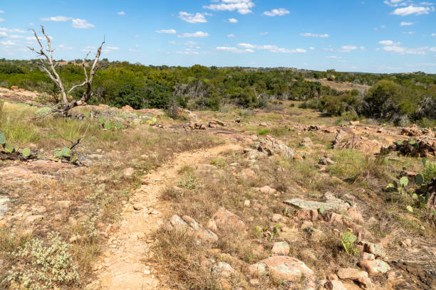 istock Trail around rocks and vegetation at Inks lake 2184042009