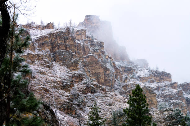 Snowy Frosted Trees in Scenic Canyon - Early season late fall, early winter fresh snow on overcast stormy day. Winter wonderland landscape with trees covered in fresh snow.