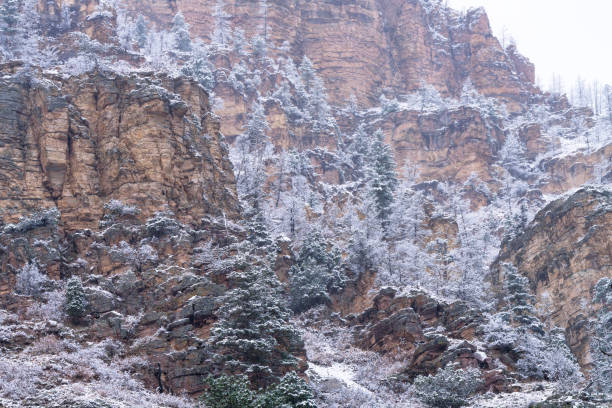 Snowy Frosted Trees in Scenic Canyon - Early season late fall, early winter fresh snow on overcast stormy day. Winter wonderland landscape with trees covered in fresh snow.