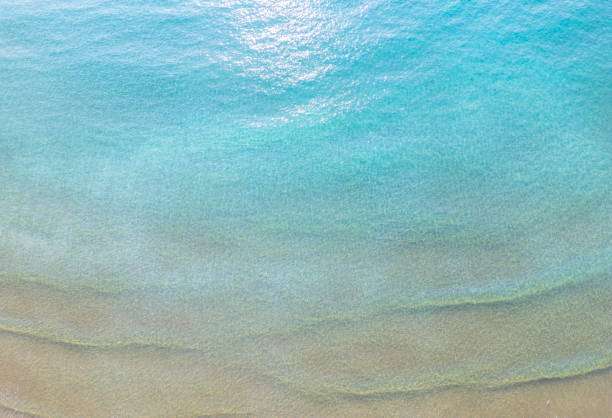 Aerial View of Tropical Beach