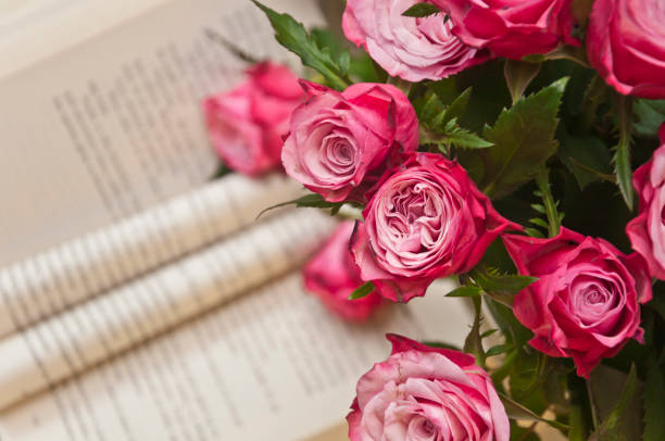 Moody closeup shot of a beautiful pink roses with opened blured book in the background