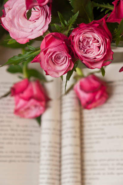 istock Beautiful pink roses with opened book in the background 2184056894