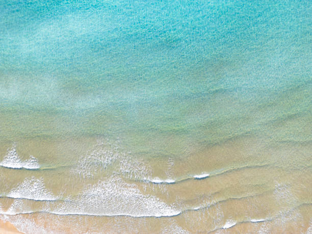 istock Aerial View of Tropical Beach 2184057690