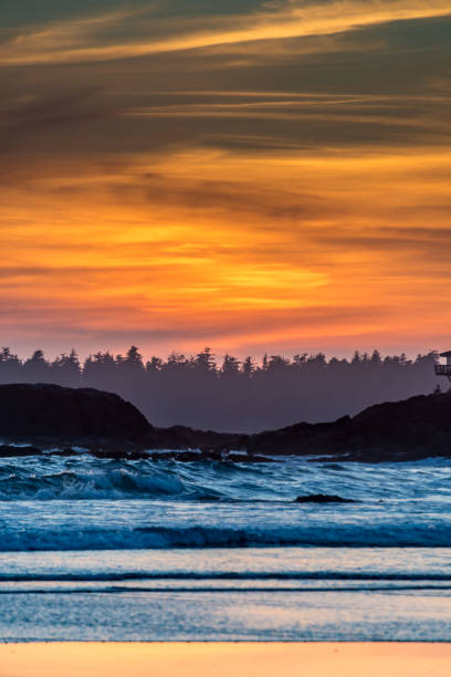 A tranquil sunset over a coastal landscape with vibrant orange and yellow hues lighting up the sky. Gentle waves roll toward a sandy shore, silhouetted by rugged rocks and a line of distant trees, creating a peaceful, scenic vista. Vancouver Island,
