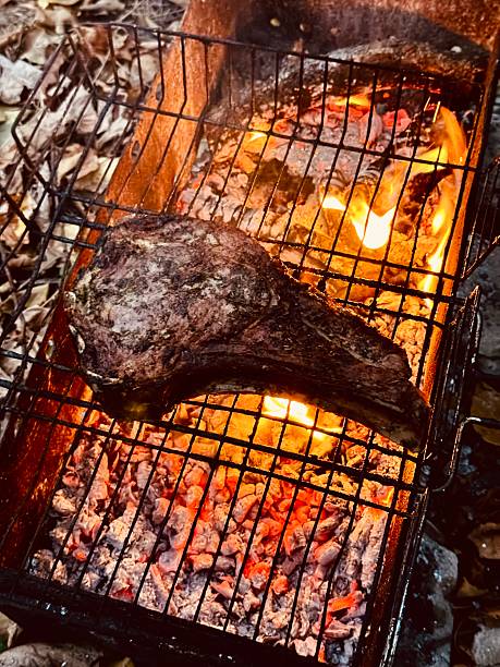 grilled meat over hot coals, to prepare a dinner in the countryside