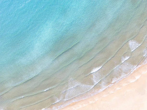 istock Aerial View of Tropical Beach 2184065325