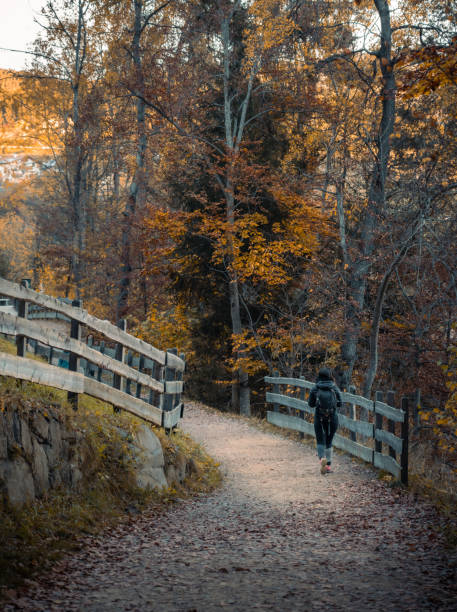 Woman's legs  hiking  on gravel path with fallen leaves in the forest in autumn