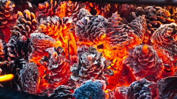 pine cones, embers, fire, heat, glow, incandescence, combustion, close-up, macro, texture, orange color, charcoal, flame, ashes, forest, nature, energy, burned wood, details, warm ambiance, intensity, artistic photography, contrast, winter, natural warmth, survival, camping, campfire, fireplace, natural element, crackling, atmosphere, red, orange, flames, extreme heat, slow burn, crackle, burning, sparks, fire power, natural elements, organic structure