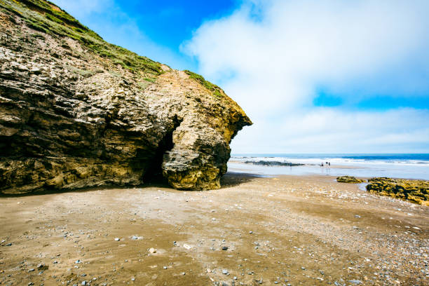 Sunny Cliffs and beach at Blackhall Rocks and Cromdon Dene Beach