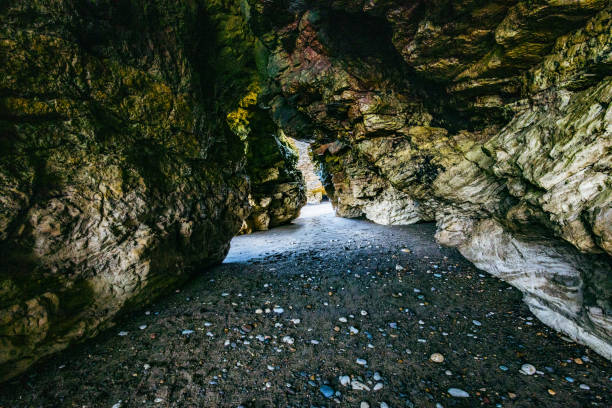 Sunny Cliffs and beach at Blackhall Rocks and Cromdon Dene Beach
