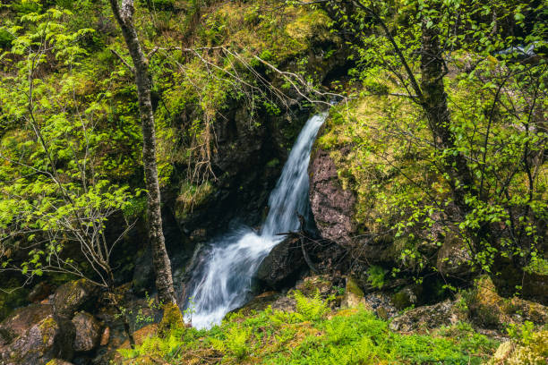 istock Hidden Valley view in the Scottish Highlands 2184071482