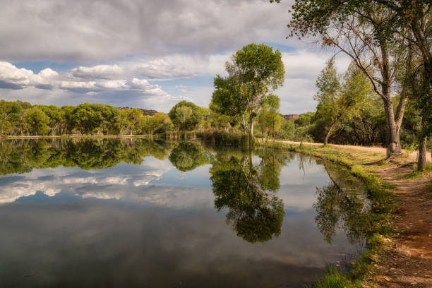 Beautiful scenery at a pond in Dead Horse Sate Park near Cottonwood, Arizona