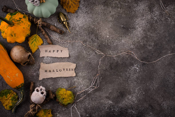 Halloween composition with skull and decorative pumpkins.