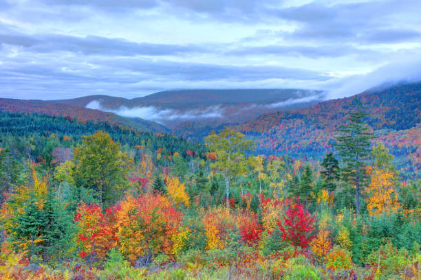 Autumn foliage in the Western Maine Mountains in Rangeley.