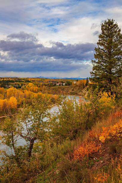 istock Fall Foliage In A Cochrane Park 2184076910