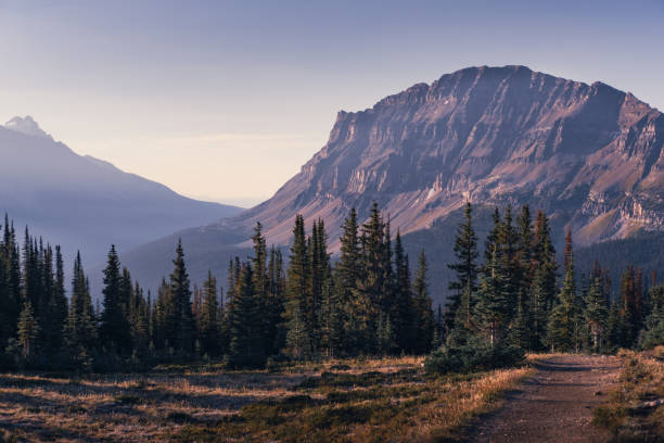 istock Helen Lake Trail 2184081770