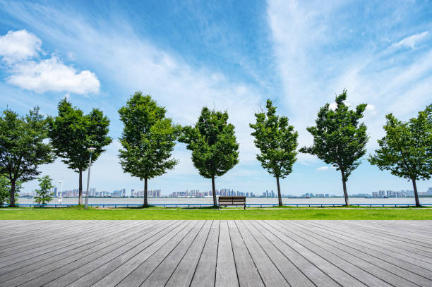 istock Empty boardwalk in the riverbank park with urban skyline and clear sky background 2184088741