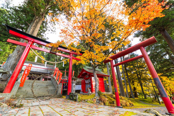 istock Japanese Torii gates at a shrine in autumn 2184089495