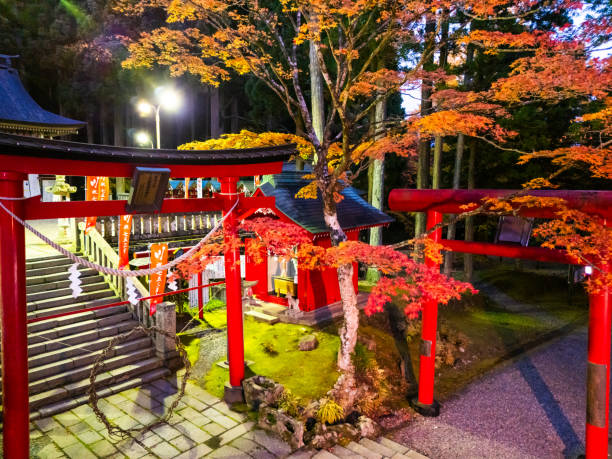 istock Japanese Torii gates at a shrine with autumn maple trees at night 2184089528